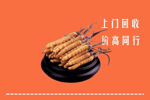 高价求购：东至县回收散虫草