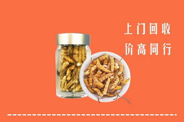 东至县回收冬虫夏草
