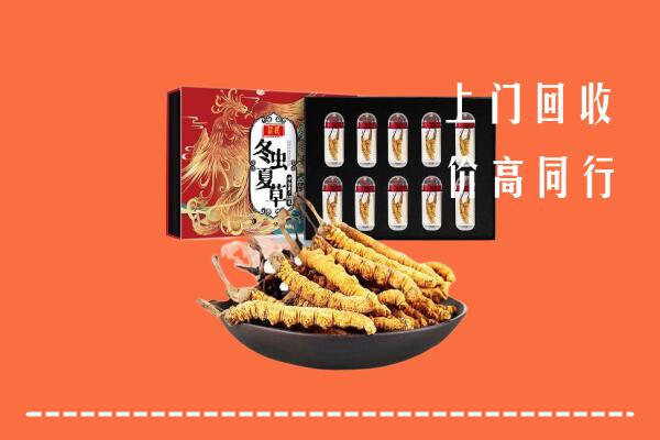 东至县回收虫草